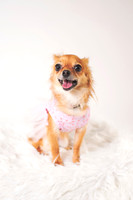 Dorrie_003