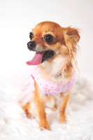 Dorrie_001