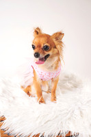 Dorrie_002