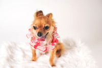 Dorrie_007