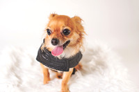 Dorrie_008