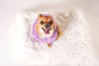 Dorrie_011