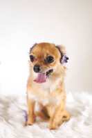 Dorrie_006