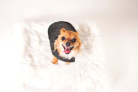 Dorrie_010