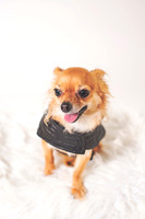 Dorrie_009