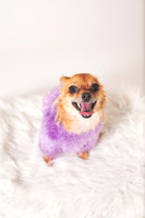 Dorrie_012