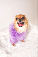 Dorrie_013