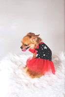 Dorrie_014