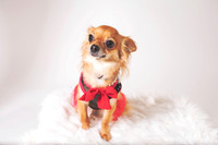 Dorrie_017