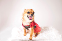 Dorrie_016