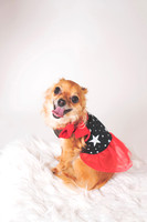 Dorrie_015